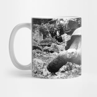 vintage photo of galapagos tortoise Mug